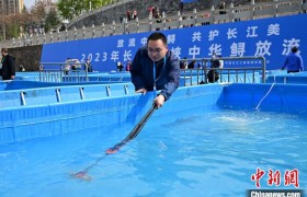 全国媒体航拍大师三峡行启动 聚焦长江生态保护